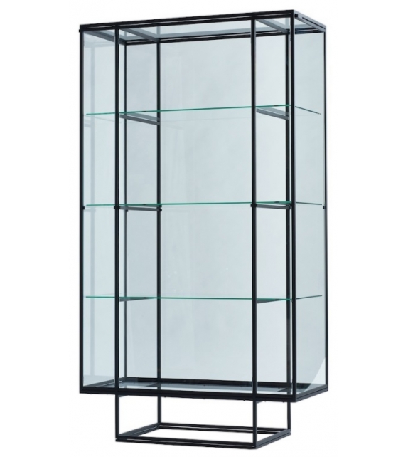 Tangled Spectrum Vitrine