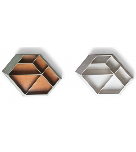 Earthquake 5.9 Budri Bookcase