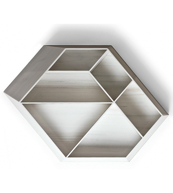 Earthquake 5.9 Budri Bookcase