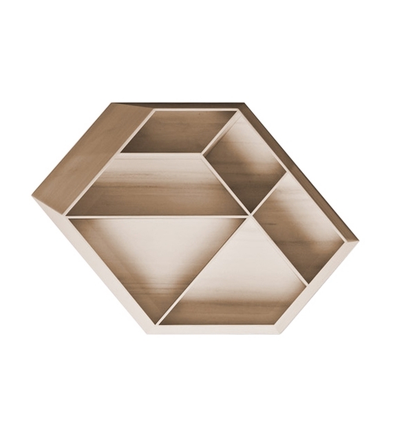 Earthquake 5.9 Budri Bookcase