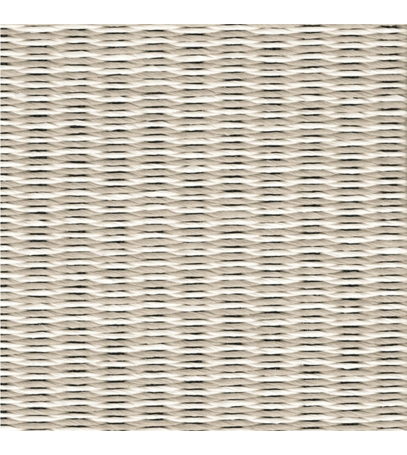 Coast Woodnotes Tappeto