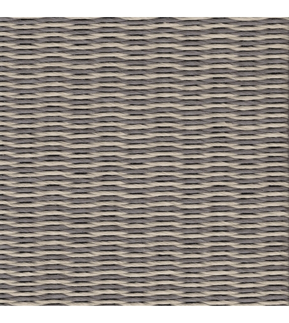 Coast Woodnotes Tapis