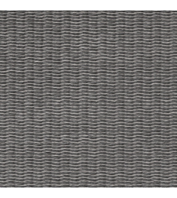 Coast Woodnotes Tappeto