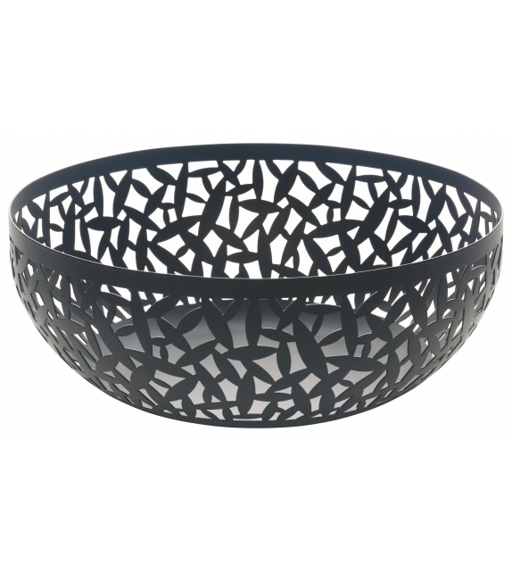 Cactus! Alessi Fruit Holder