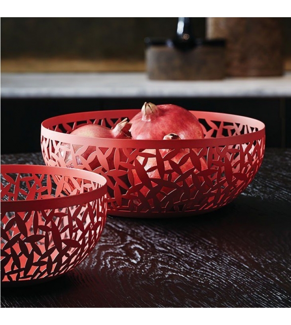 Cactus! Alessi Obstschale