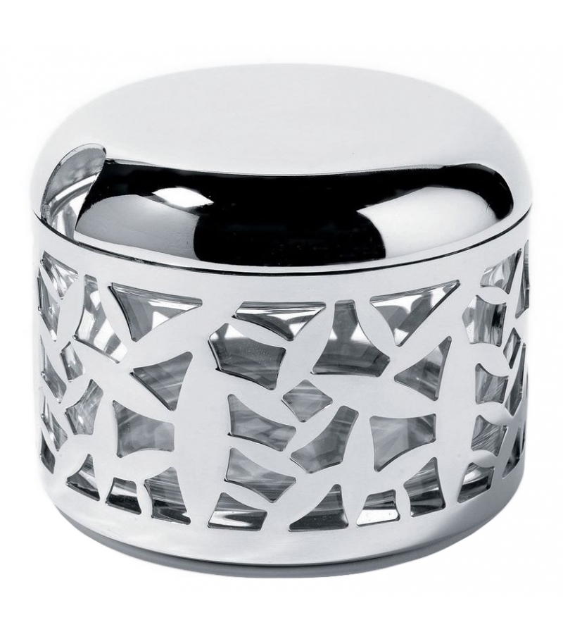 Cactus! Alessi Parmesan Cheese Cellar