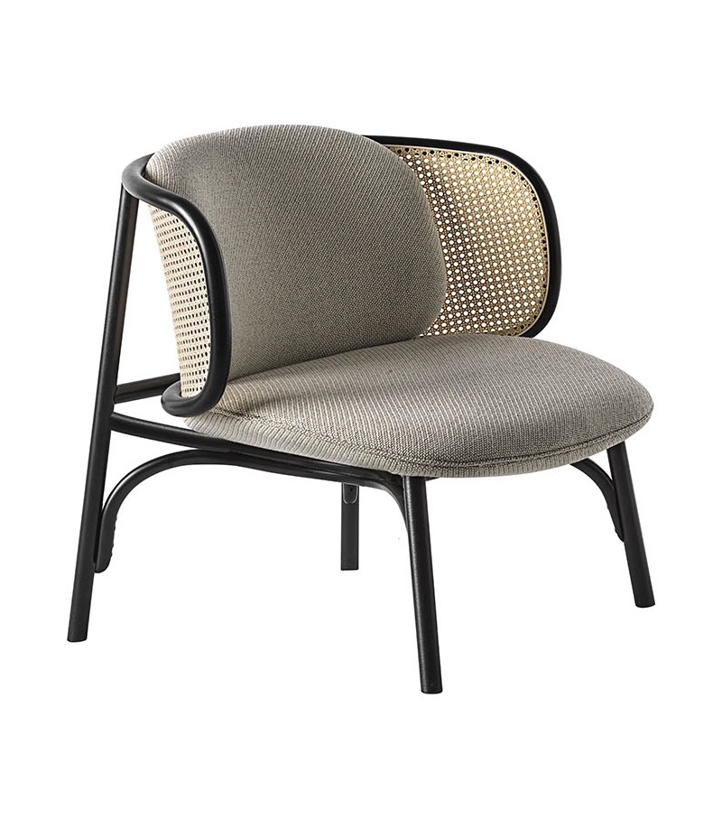 Suzenne Gebrüder Thonet Vienna Fauteuil