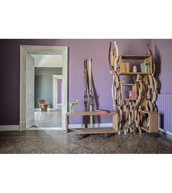 Ornythos Raccamu Bookcase