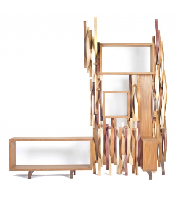 Ornythos Raccamu Bookcase
