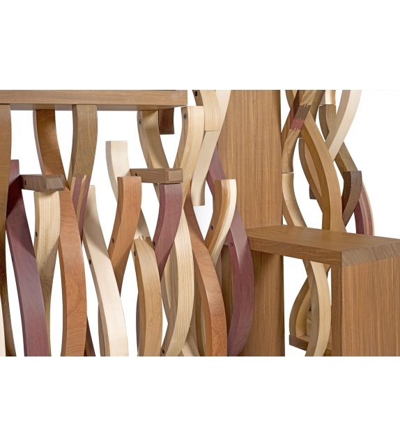 Ornythos Raccamu Bookcase