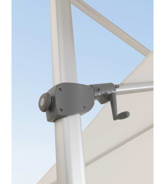 Venere Parasol Talenti