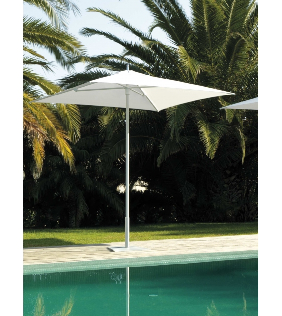 Apollo Talenti Parasol