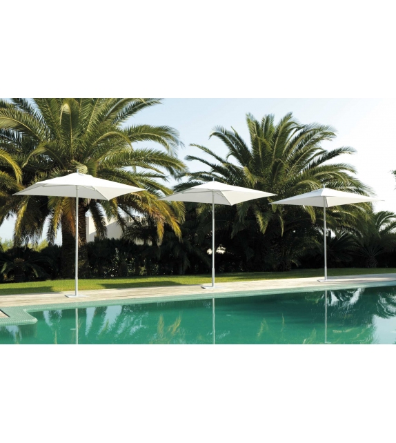 Apollo Talenti Sombrilla