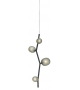 Ivy Brokis Suspension