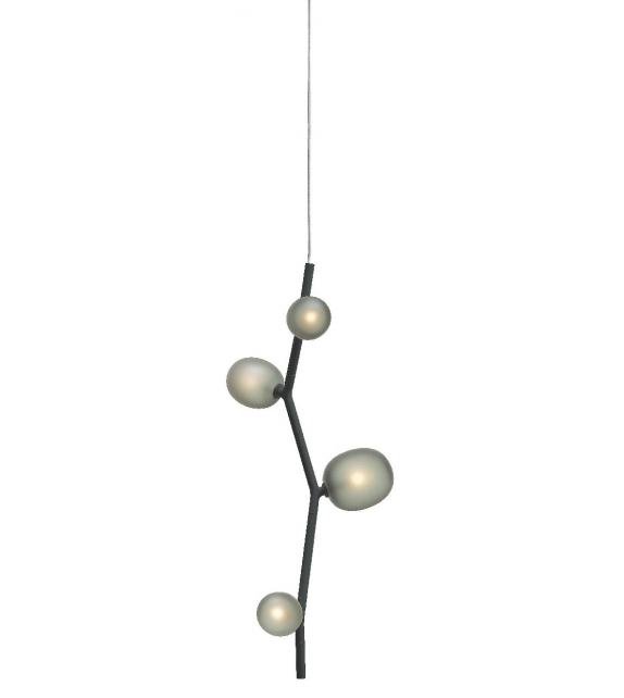 Ivy Brokis Suspension