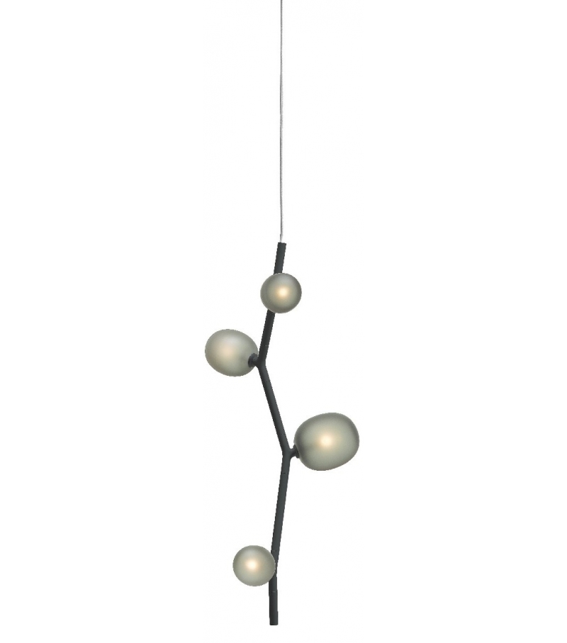 Ivy Brokis Suspension