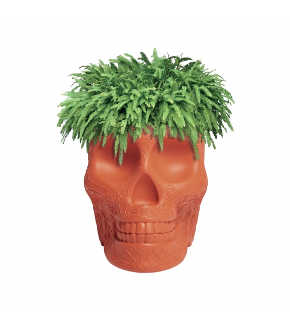 Mexico Small Planter Qeeboo Jarrón