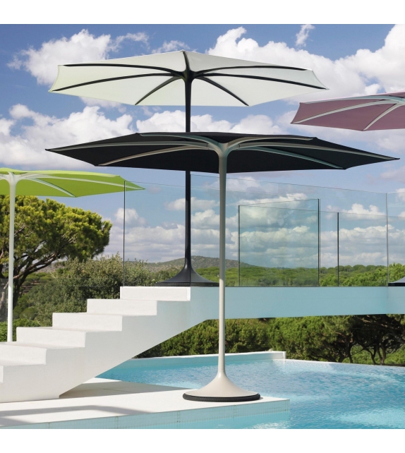 Palma Royal Botania Sonnenschirm