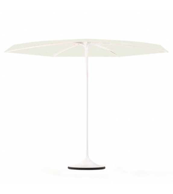 Palma Royal Botania Parasol