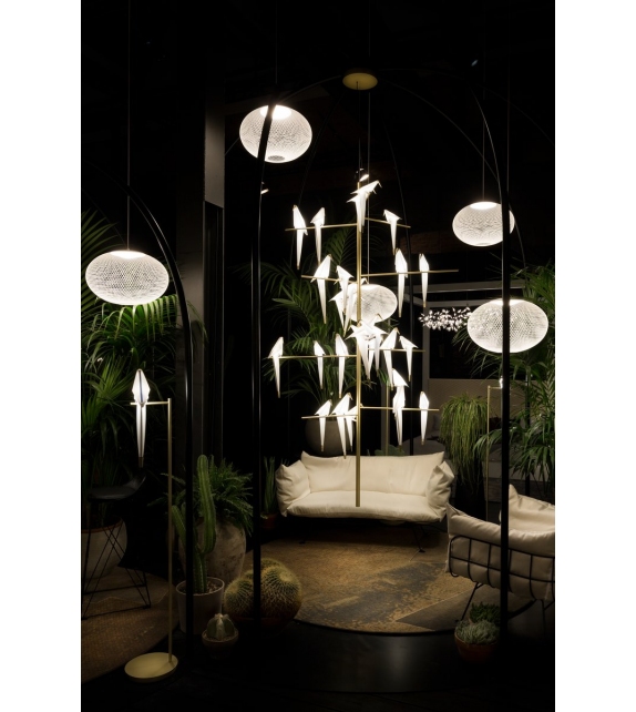 Perch Light Branch Moooi Hängeleuchte