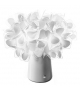 Clizia Battery Slamp Lampe de Table