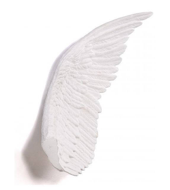 Memorabilia Mvsevm Wings Seletti  Centerpiece
