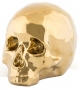 Il Mio Teschio Seletti Dekoration