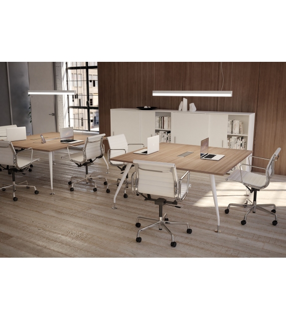 Activesword Olev Suspension