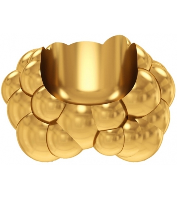 Wolk Scarlet Splendour Chair