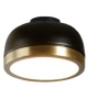 556 Molly Tooy Wall Lamp