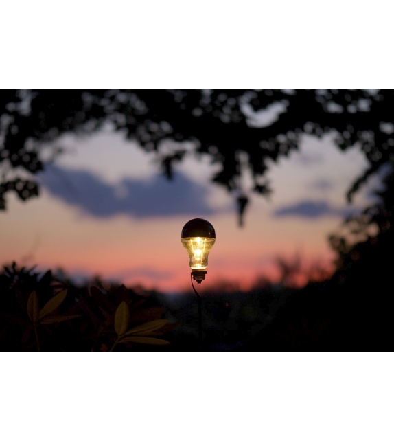 Trenta Limited Edition Catellani&Smith Lampe de Table