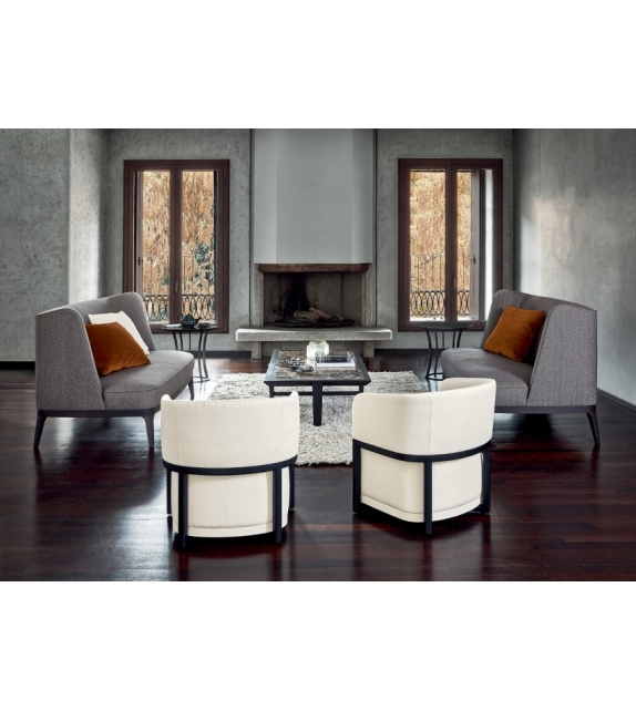 Dragonfly Flexform Divano