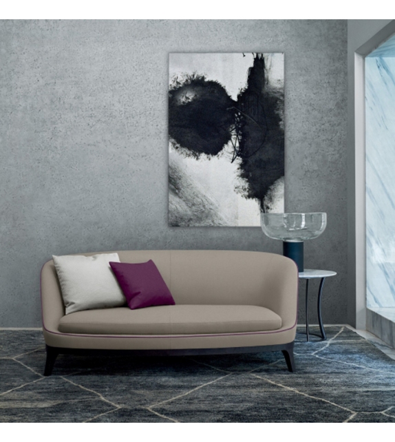 Dragonfly Flexform Divano