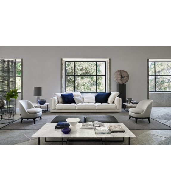 Dragonfly Flexform Sessel