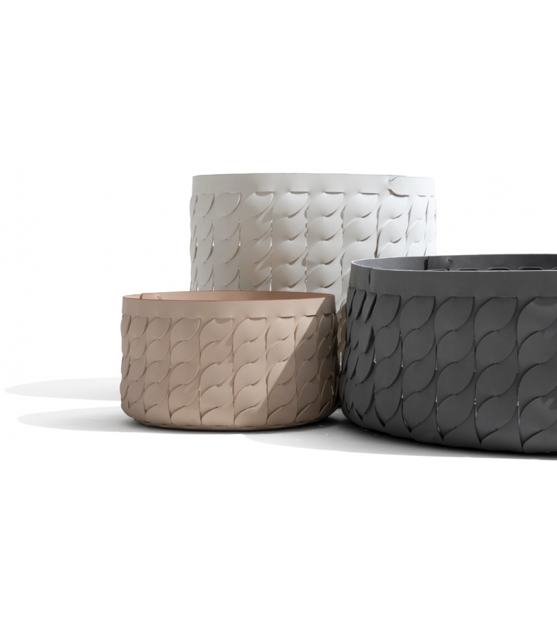 Koi Giorgetti Basket