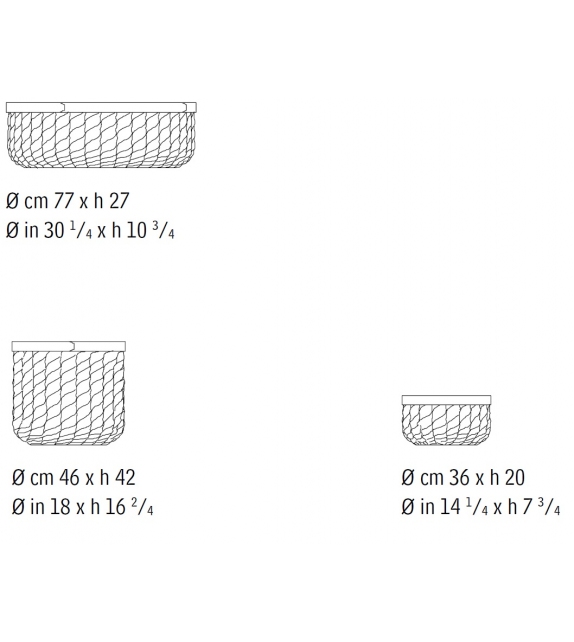 Koi Giorgetti Basket