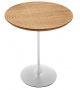 Tulip Sovet Table Basse
