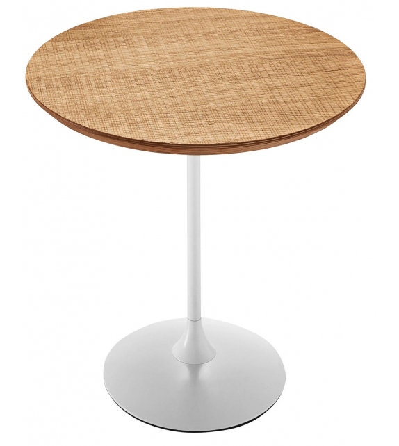 Tulip Sovet Table Basse