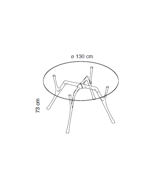 Pegaso Caimi Brevetti Table