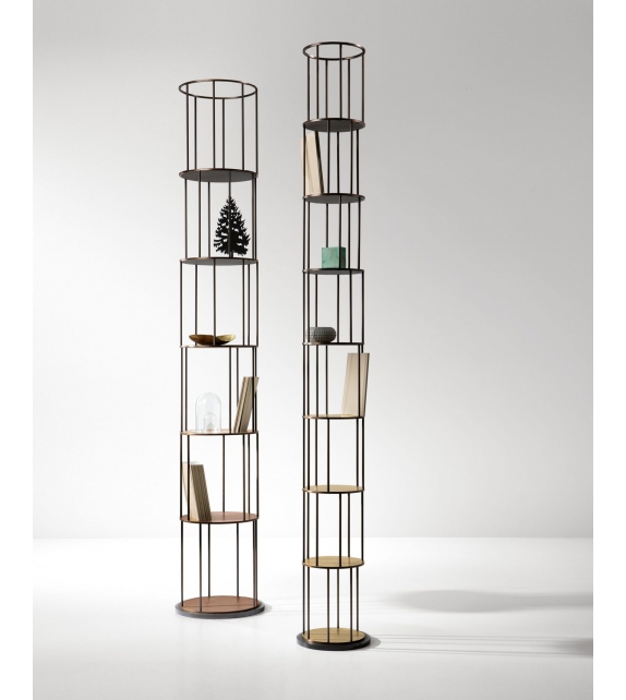 Babele DeCastelli Bookshelf
