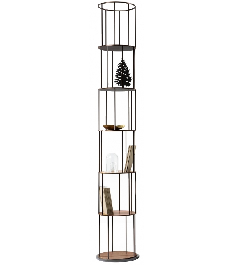 Babele DeCastelli Bookshelf