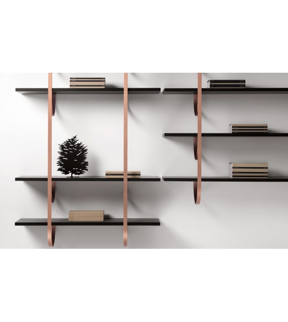 Talea DeCastelli Bookshelf