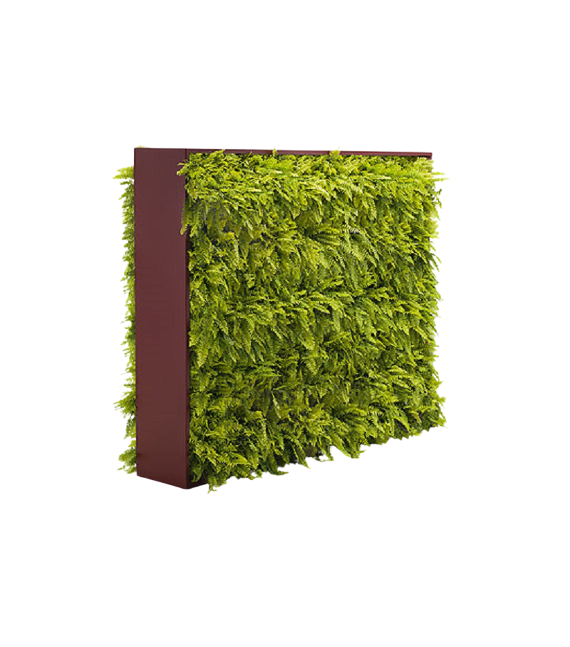 Greenery Paola Lenti Pared Verde