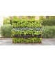 Greenery Paola Lenti Green Wall