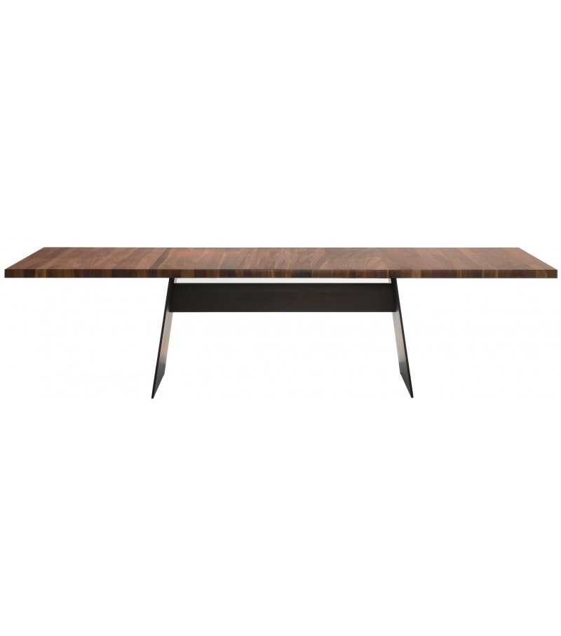 Tadeo Walter Knoll Mesa