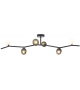 Ivy Brokis Ceiling Lamp