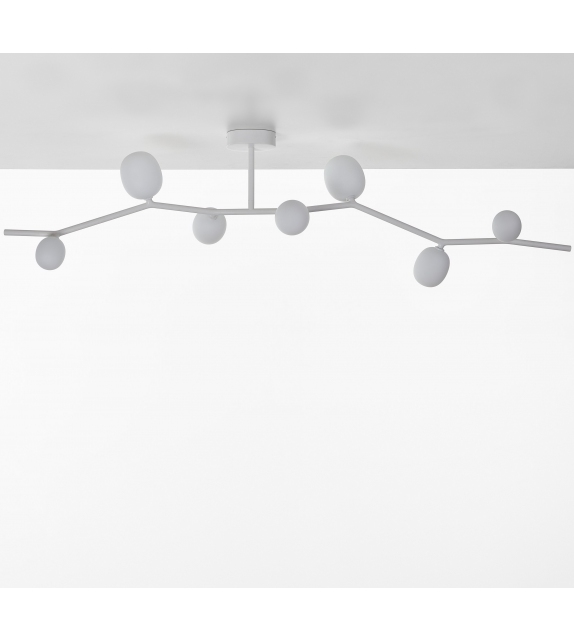 Ivy Brokis Lampada a Soffitto