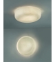 Ola Quadrifoglio Group Wall / Ceiling Lamp