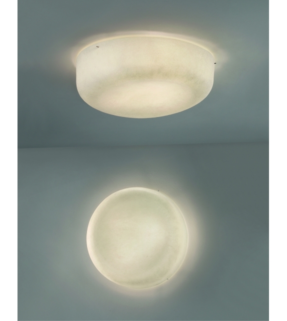 Ola Quadrifoglio Group Wall / Ceiling Lamp