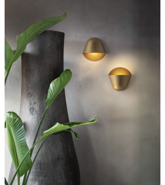 Enoki Penta Wall Lamp